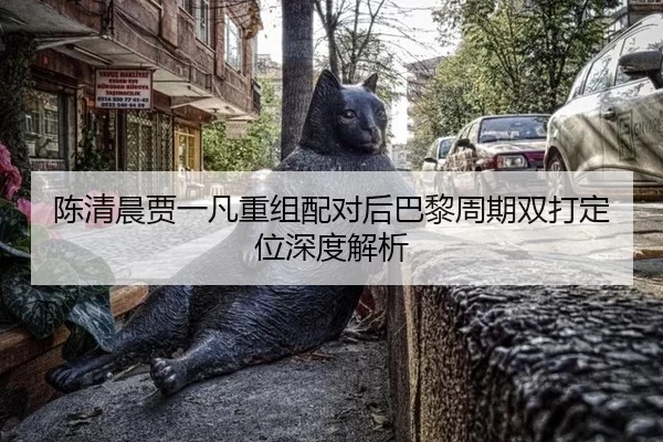 陈清晨贾一凡重组配对后巴黎周期双打定位深度解析